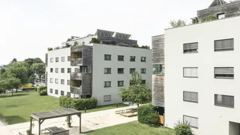 Expose | Ruhelage im Grünen | 3-Zimmer Wohnung | Marchfeldkanal | Passiv-Holzhaus | Großzügige Terrasse |
