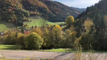 Expose | BERGBLICK | PROVISIONSFREI | SÜDOSTEN | RÜCKZUGSORT | SONNIGES BAUGRUNDSTÜCK
