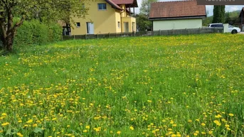 Expose Ihr Traumgrundstück in Grub i. Wienerwald 702m² Baugrund für nur 280.000 €!