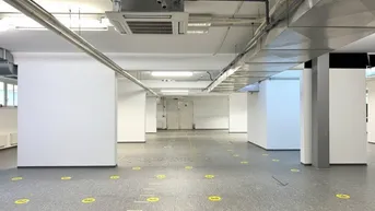 Expose Büro- und Geschäftsflächen in der Wilhelminenstraße *** Nutzung des EG auch als Werkstätte oder Lager möglich