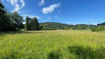 Expose Schöne landwirtschaftliche Flächen mit 3.208m² - Nähe Hafnersee - Kein Baugrund!