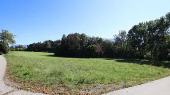 Expose Schöner, großer und flacher 1.850m² Baugrund in Ludmannsdorf - Lukowitz