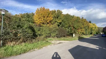 Expose Ruhiges, ebenes Grundstück in Breitenfurt direkt
