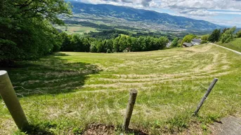 Expose Landwirtschaftliches Weideland zu verkaufen!