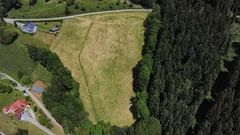 Expose Landwirtschaftliches Weideland zu verkaufen!