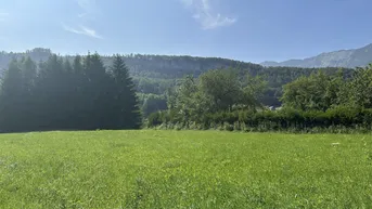 Expose Zentral gelegenes Baugrundstück in Bad Goisern am Hallstättersee