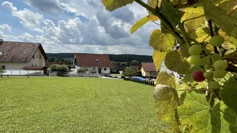 Expose Nähe Gleisdorf - wunderschönes ruhig gelegenes Grundstück voll erschlossen!
