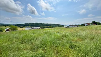 Expose Sonniger Baugrund in BOCKSDORF mit Panoramablick!