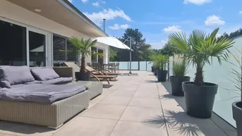 Expose Stiftingtal - Penthouse mit 91 m² Terrasse - 3 Zimmern - absolute Ruhelage - Nähe LKH