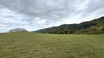 Expose Ruhige Toplage mit sensationellem Panoramablick nahe Arnfels – Hardegg, ein Naturjuwel für Genießer, Familien &amp; Investoren!