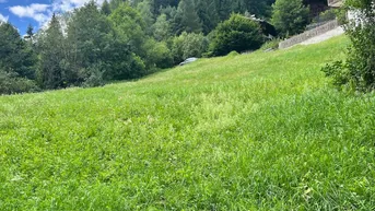 Expose Wo Träume von Gastfreundschaft Wurzeln schlagen
