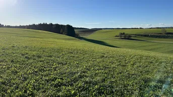 Expose Perfekte Lage für Ihr Eigenheim – Grundstück in Seenähe