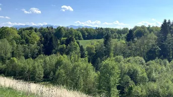 Expose Exklusives Wohnen im WOHNPARK AM POSCHENHOF