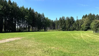 Expose Ländliche Einstellflächen und Wiesen