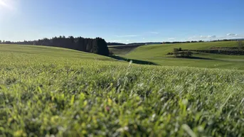 Expose Grundstück mit Weitblick - Naturidylle am Gamperner Berg