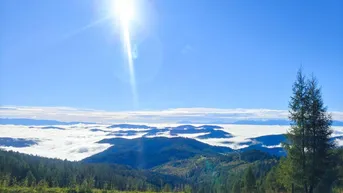 Expose TOP | FALKENBLICK - HOCHRINDL | ERHOLUNG AUF DER ALM IM RUNDSTAMMHAUS | 1.556m Seehöhe / Kärnten