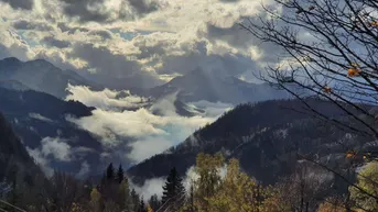 Expose NATURPARADIES | EINZIGARTIGES RUNDSTAMMHAUS | ERHÖTE LAGE | PANORAMABLICK