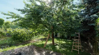 Expose 3 Zimmer Gartenwohnung im Zentrum von Deutsch Wagram