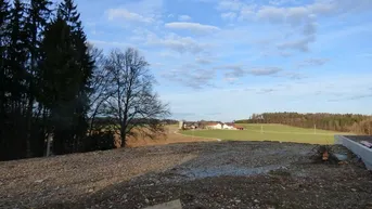 Expose Nahe Stadt Salzburg-St. Pantaleon: Baugrund in ruhiger Waldrandlage