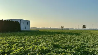 Expose VOLLE FLEXIBILITÄT, ABENDSONNE, PRIVATSTRASSE /// zwei Baugrundstücke mit perfekter Infrastruktur