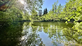 Expose PRIVATE RETREAT NUR 30 MINUTEN VON DER OPER /// MIT EIGENEM PARK, WALD UND BADESEE