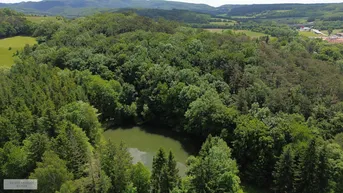Expose PRIVATE RETREAT NUR 30 MINUTEN VON DER OPER /// MIT EIGENEM PARK, WALD UND BADESEE