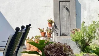 Ruhige Terrasse mit Wasserspiel, umgeben von Pflanzen und bequemen Sitzgelegenheiten für entspannte Stunden.