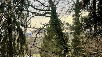 Blick durch die Bäume auf ein entferntes Gebäude auf einem Hügel in der Landschaft.