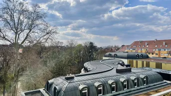 Blick über die Dächer der Stadt mit einer markanten geschwungenen Dachkonstruktion und grünen Bäumen im Hintergrund.