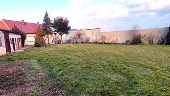 Expose 953m² kompaktes Baugrundstück, sonnige Ruhelage mit Altbestand