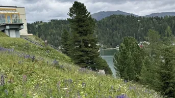 Expose Turracher Höhe - Ein Grundstück mit Seltenheitswert – ideal für eine hochwertige touristische Entwicklung. Baugrundstück für eine kleine Apartmentanlage - DIREKT bei der Piste und der Talstation "Panoramabahn"