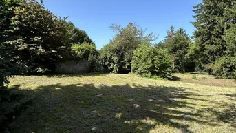 Expose Drei bebaubare Grundstücke + Villa mit Garten in Perchtoldsdorf – einzeln oder gemeinsam erwerbbar.