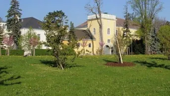Expose NÄHE SCHLOSS PERCHTOLDSDORF - 2-Zimmerwohnung in modernem Neubau