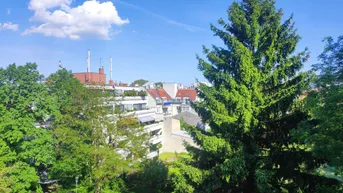 Expose SELBER GARTELN : Nähe Selbsterntegarten Ketzergasse!