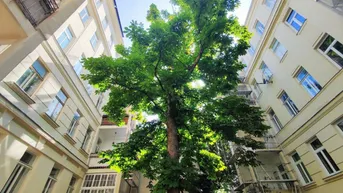 Expose BLICK INS GRÜNE - Sanierungsbedürftiger Altbau in Hofruhelege!