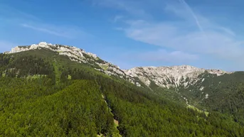 Expose Ein schönes Stück Bergwald auf der Rax
