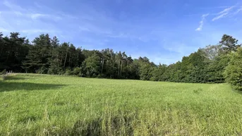 Expose Naturliebhaber aufgepasst! Baugrundstück am Waldesrand