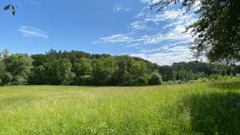 Expose Einmalige Gelegenheit: Großes Grundstück in idyllischer Lage nahe Ried in der Riedmark