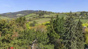 Expose Penthouse mit Blick in die Weinberge