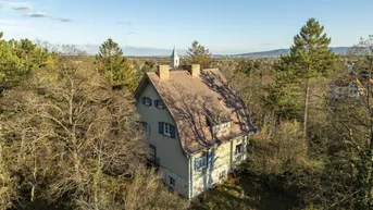Expose Rarität! Histroische Jahrhundertwende-Villa mit Privatpark und Wald | Blick in alle Himmelsrichtungen | Lichtdurchflutet