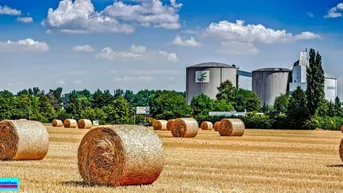 Expose 27.637m² Landwirtschaftliche Grundstück im Industriegebiet sowie Hofnungsland €29/m²