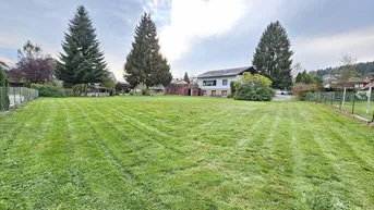 Großer, gepflegter Rasenbereich mit einem Wohnhaus und hohen Bäumen im Hintergrund.