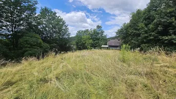 Expose 1.380 m² Sonnengrund in Kreuth/Pischeldorf/Poggersdorf!