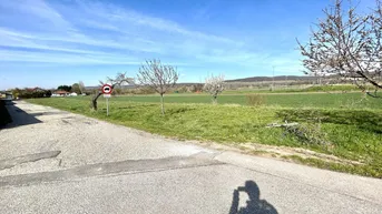 Expose Bauträgergrundstück in Winden am See mit Bebauungstudie