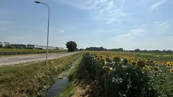Expose Grünland in zentraler Lage in Neusiedl am See
