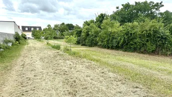 Expose Baugrundstück mit Grünfläche in Tadten in Ruhelage