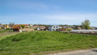 Expose Grundstück in der Alten Ufergasse in Neusiedl am See