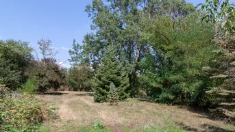 Expose Großes Baugrundstück in Nickelsdorf