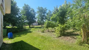 Expose Grundstück mit Geschichte – 4.369 m² mit Altbestand für Ihre Visionen in 2051 Platt