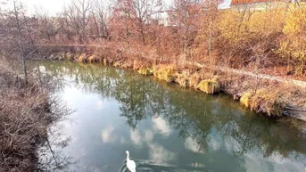 Expose Natur und Erholung in unmittelbarer Nähe! 4-Zimmer-Wohnung mit Loggia